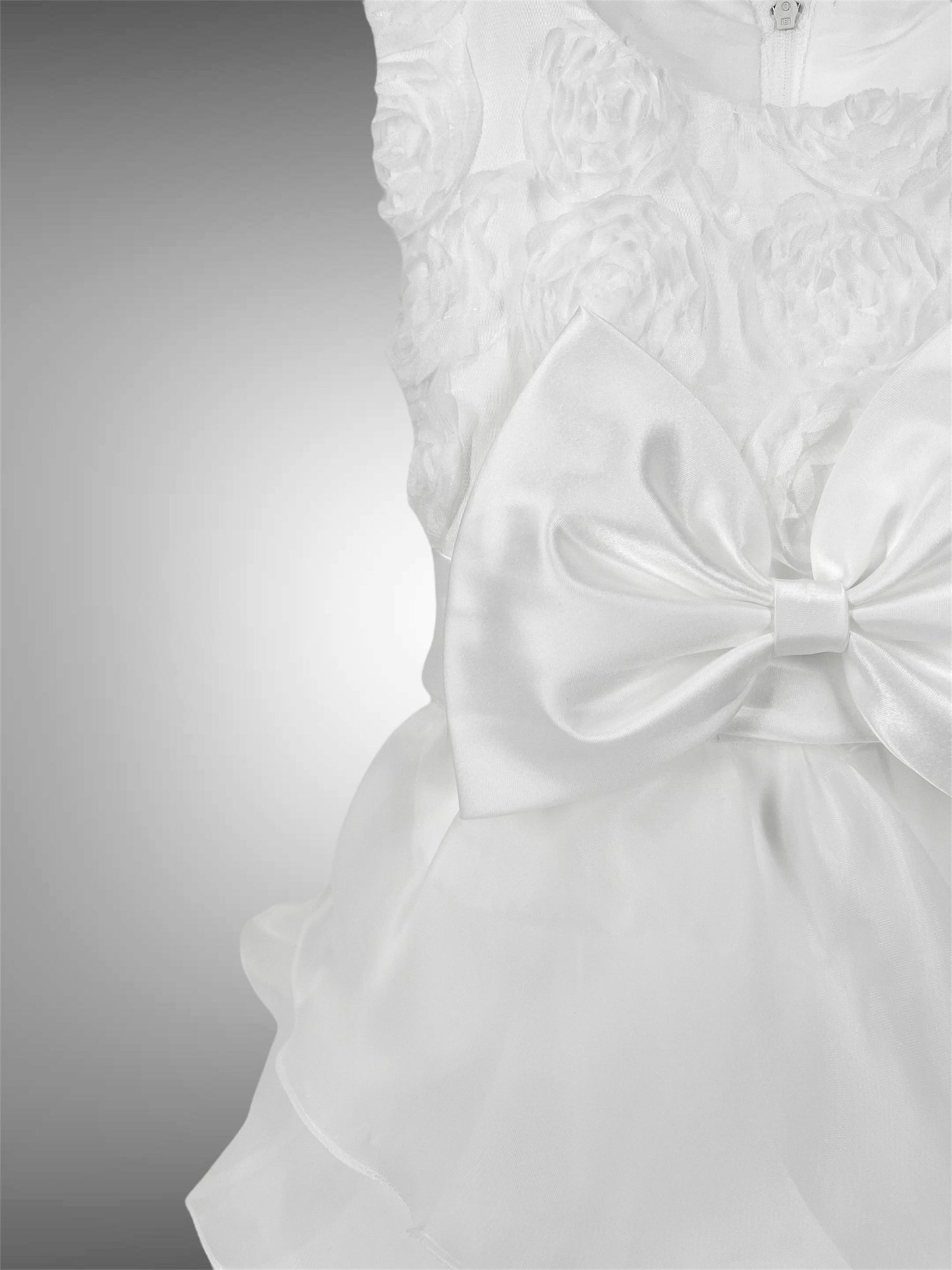 Abito Tulle e Organza