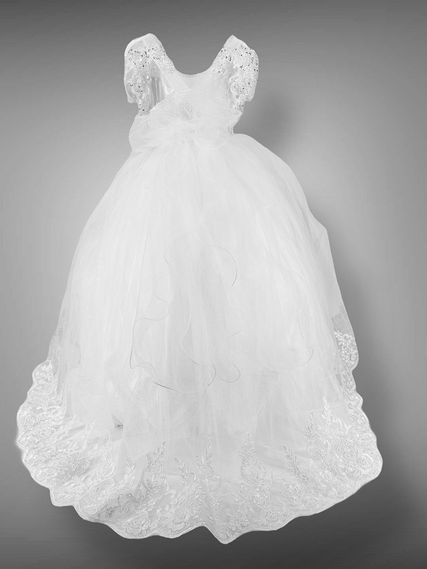 Abito Tulle e Pizzo ricamato